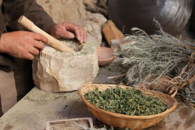 Benefícios das Plantas Medicinais para o Bem-Estar Natural e Cuidados com a Saúde