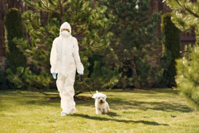 Dicas Essenciais para Garantir a Saúde e o Bem-Estar do Seu Cão