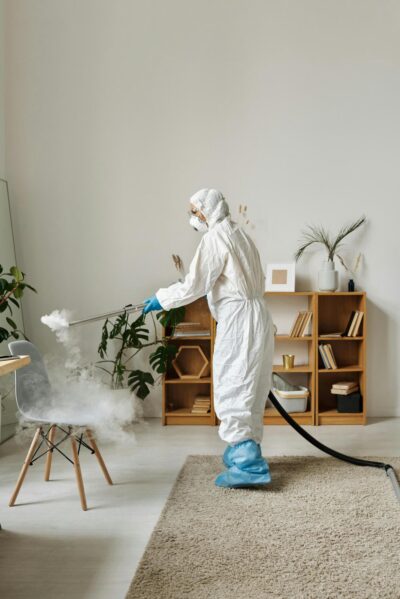 Como Manter a Casa Segura: Dicas de Saúde e Prevenção de Pragas para um Ambiente Seguro e Confortável