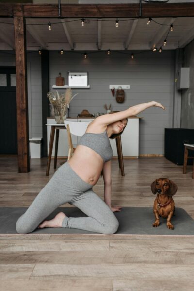 Transforme a Saúde do Seu Pet com Dicas Essenciais de Bem-Estar para Cães e Gatos