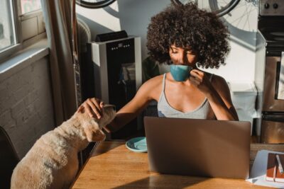 Intoxicação Animal: Como Agir em Casos de Emergência?