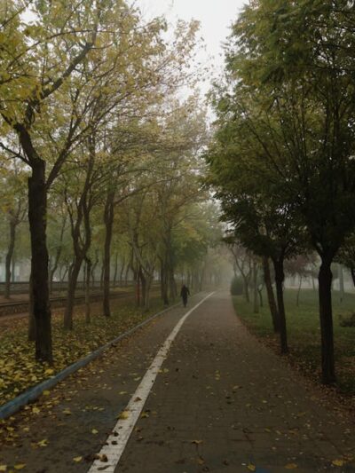 Saúde e Estilo: Como a Criolipólise Pode Transformar Seu Bem-Estar e Autoestima