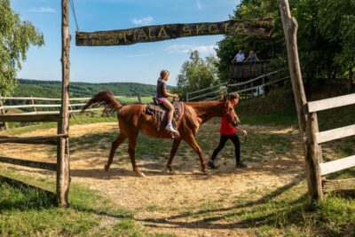 Como o Bem-Estar Animal Contribui para a Saúde e Educação de Nossas Crianças